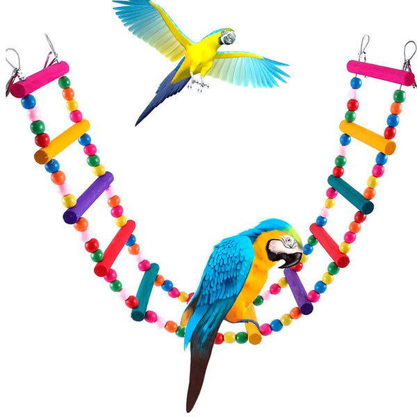 Multicolor Bird Climbing Ladder