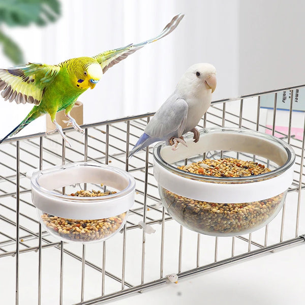 Transparent Parrot Feeding Bowl