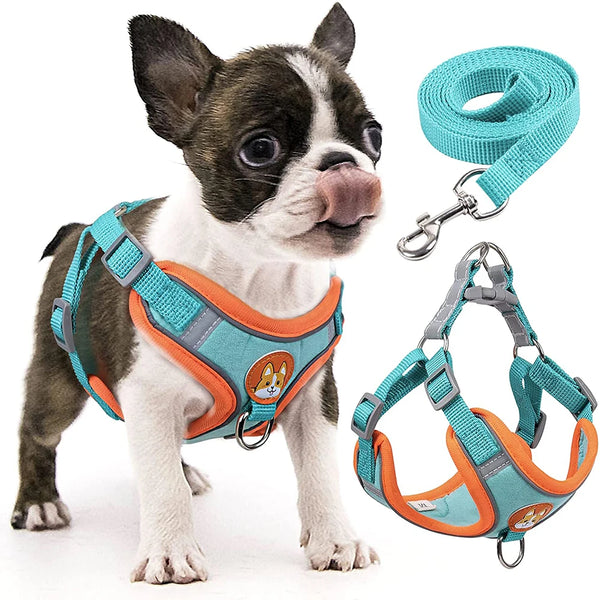 Reflective Step-In Dog Harness