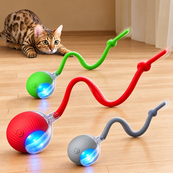 Smart Rolling Tail Ball