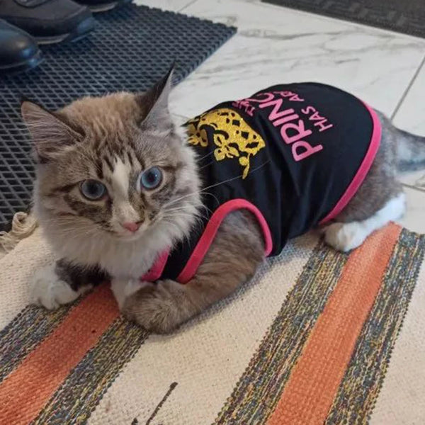 Mesh Sphynx Cat Vest