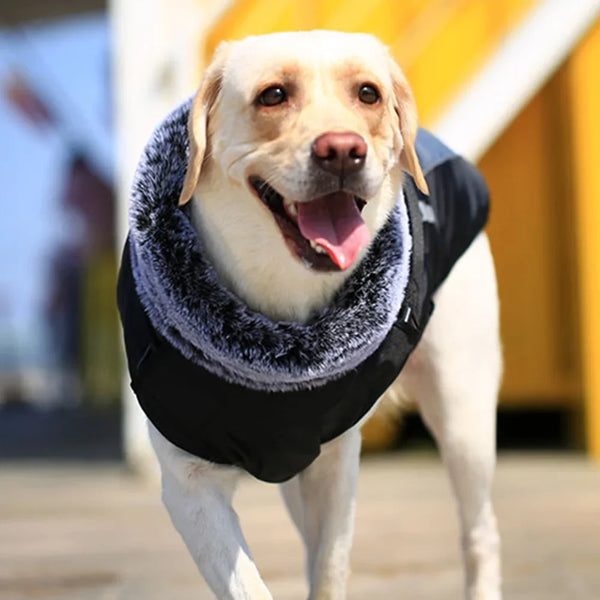 XL-6XL Winter Warm Big Dog Clothes with Fur Collar Thicken Pet Coat Jacket for Medium Large Dogs Labrador Border Collie Clothing