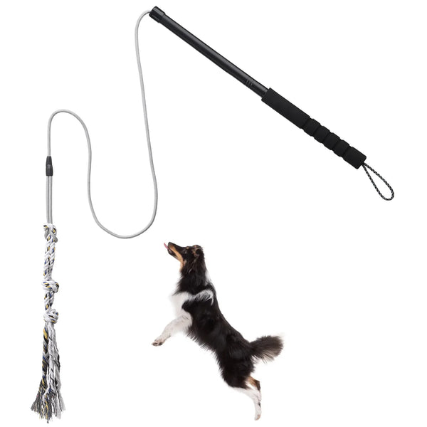 Heavy Duty Flirt Pole