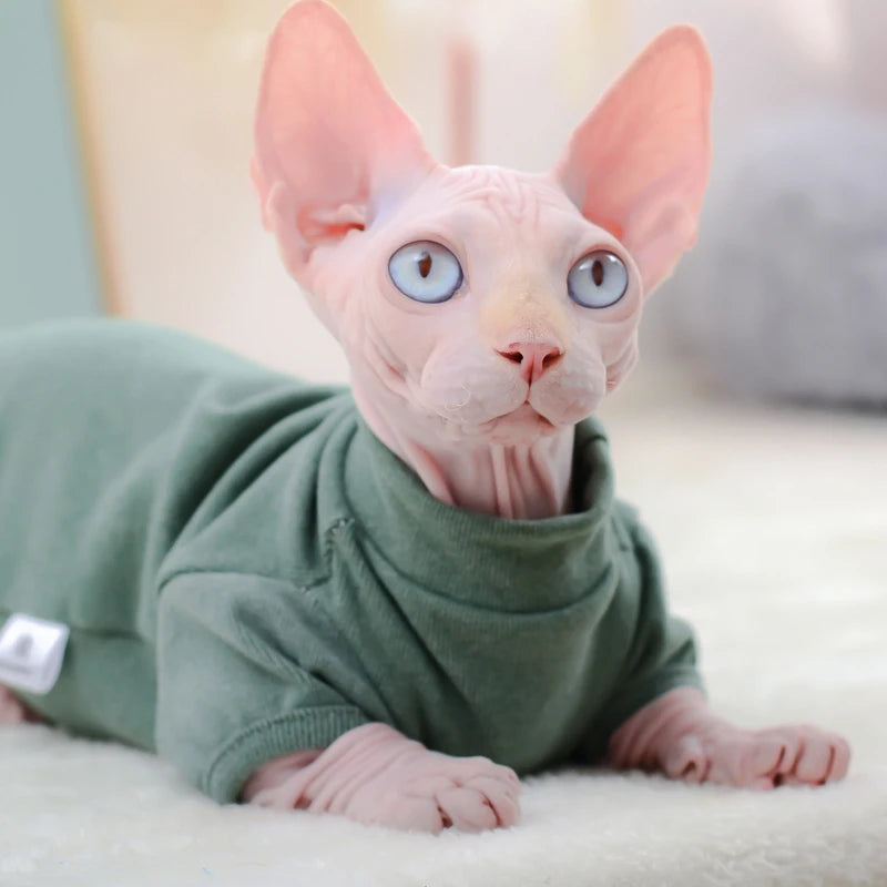 Warm Cotton Cat Hoodie