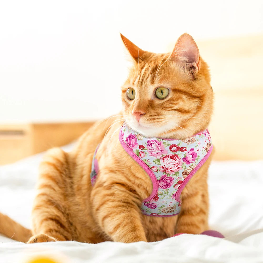 Floral Nylon Dog Harness