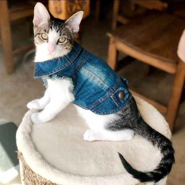 Denim Cat Vest Jacket