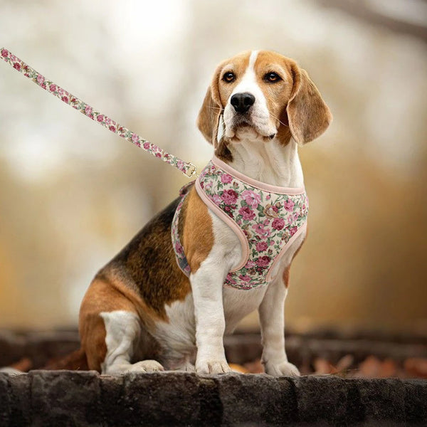 Floral Nylon Dog Harness
