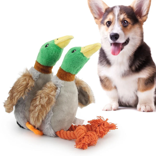 Squeaky Plush Duck Toy