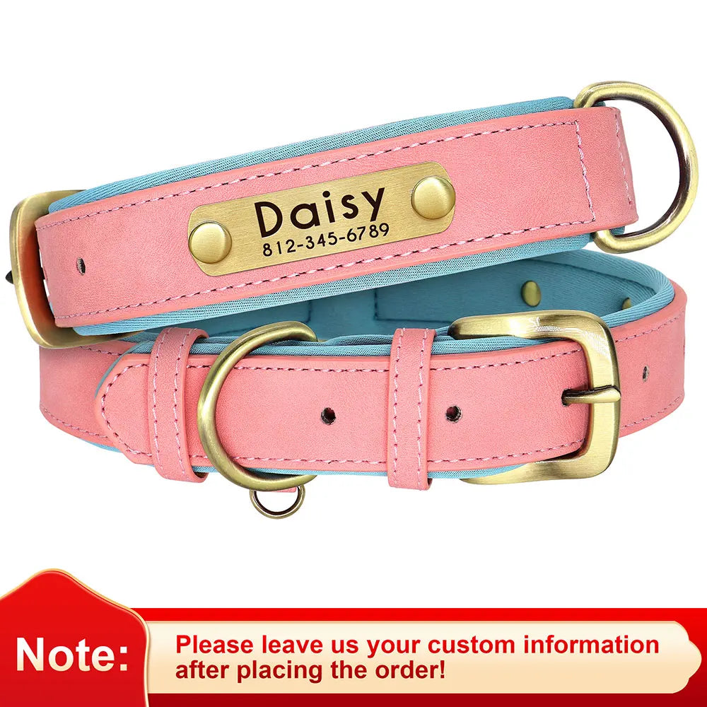 Personalized Padded Dog Collar