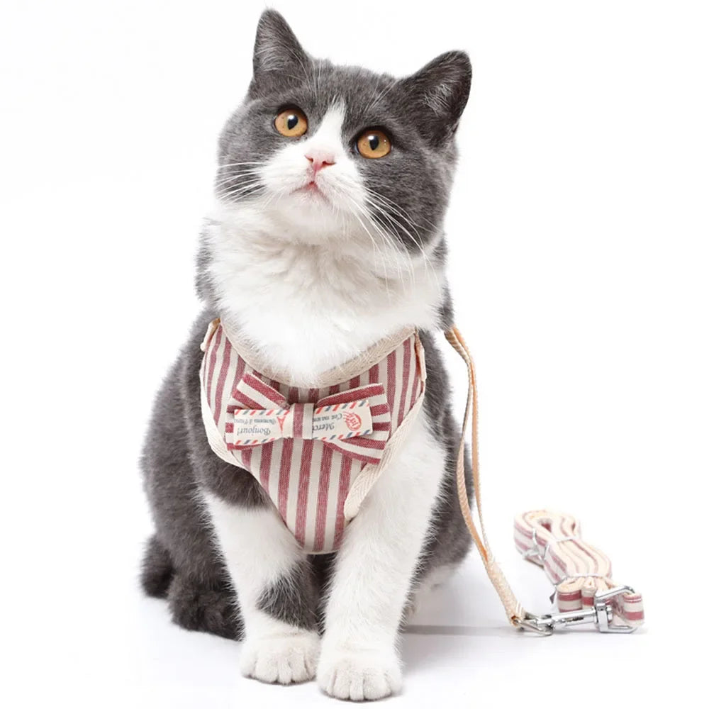 Padded Bowknot Pet Harness