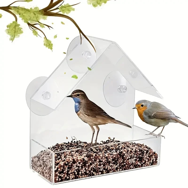 Clear Suction Bird Feeder