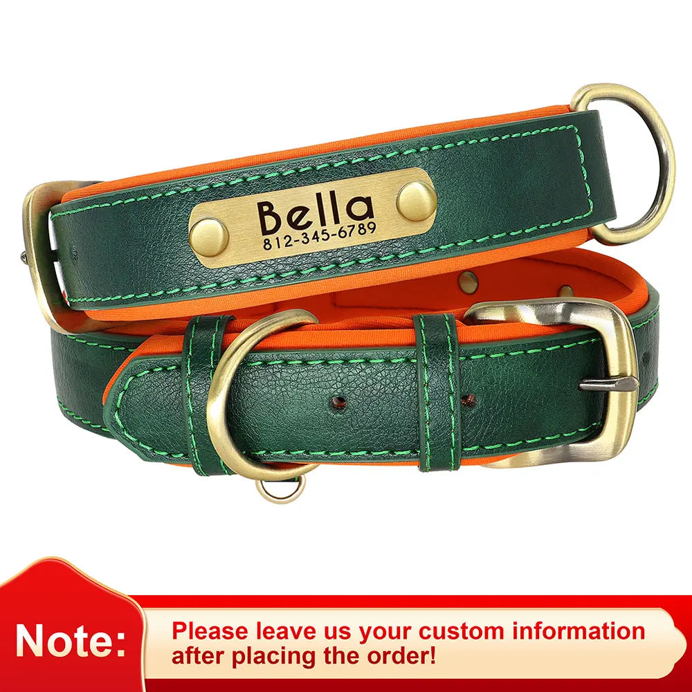 Personalized Padded Dog Collar