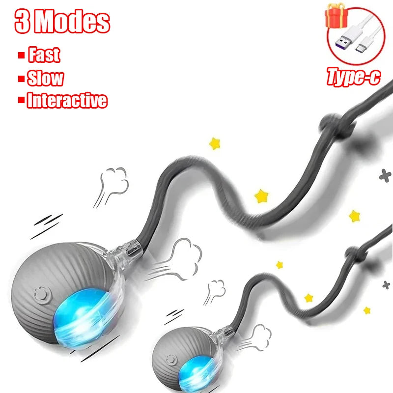 Smart Rolling Tail Ball