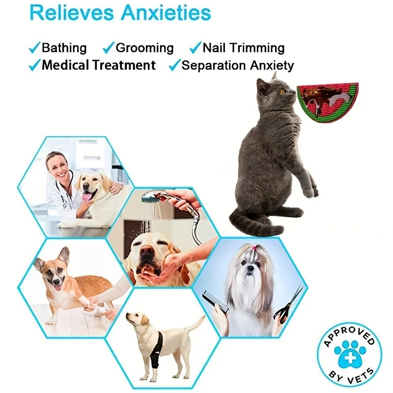 Suction Slow Feeding Mat