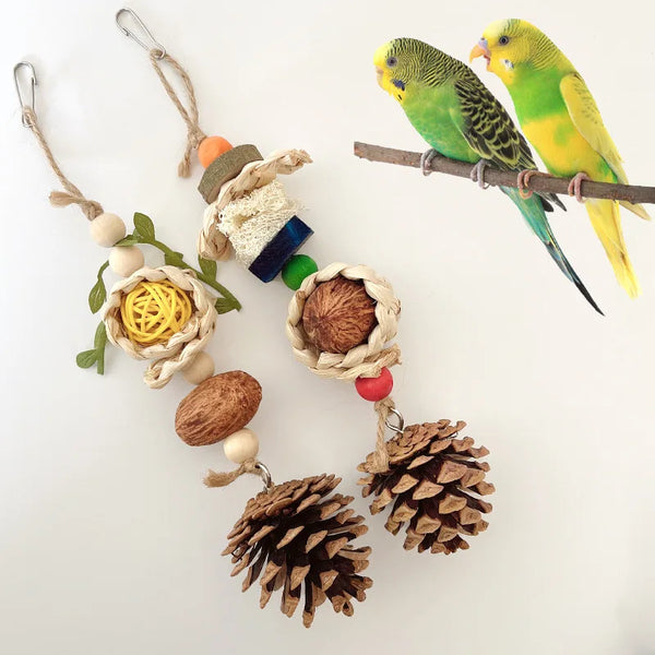 Pinecone Bird Chewing Toy