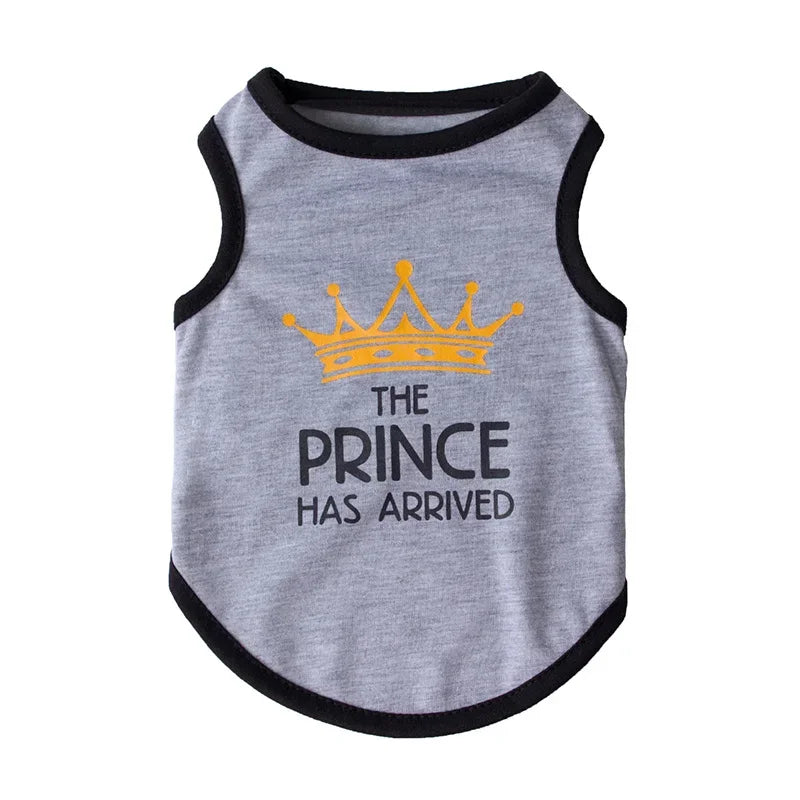 Mesh Sphynx Cat Vest