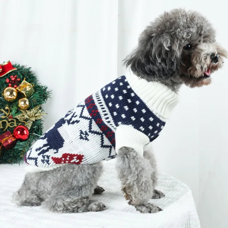 Dog Outfits