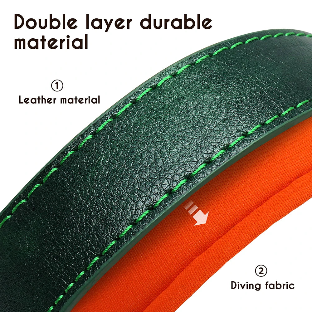 Personalized Padded Dog Collar