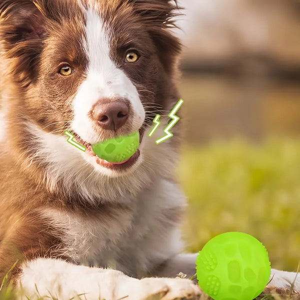 Glow Squeaky Dog Ball