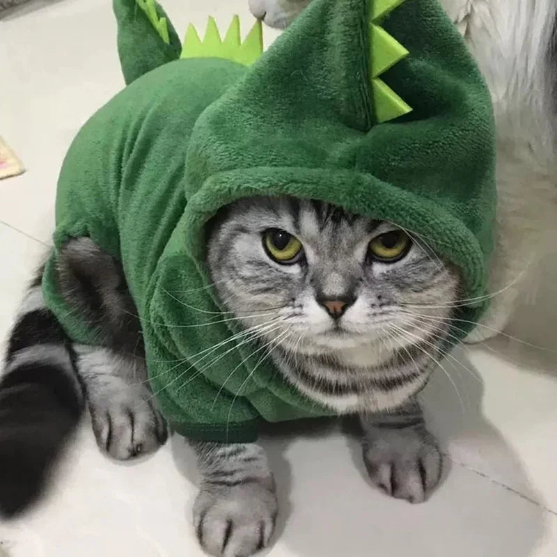 Dinosaur Fleece Pet Costume