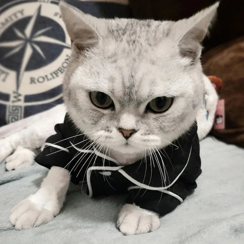 Christmas Cat Hoodie Suit