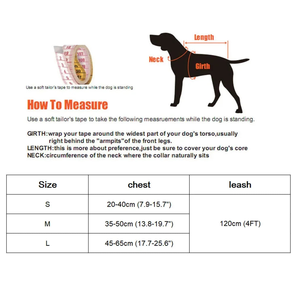 Padded Bowknot Pet Harness