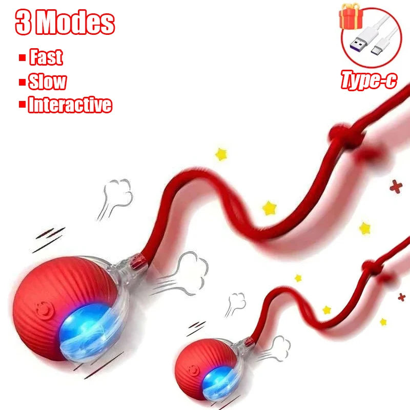 Smart Rolling Tail Ball