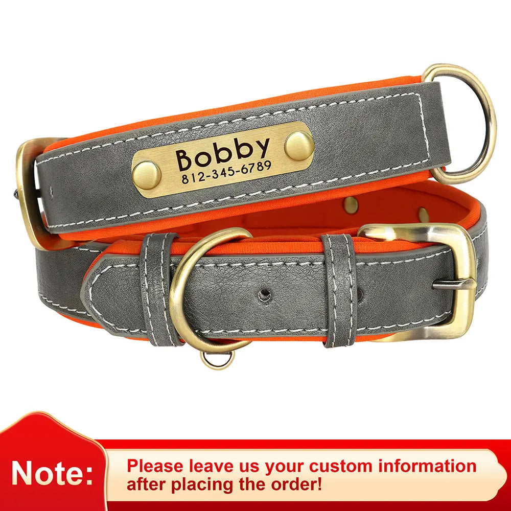 Personalized Padded Dog Collar