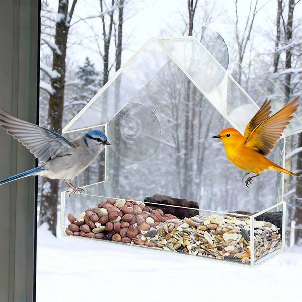 Suction Window Bird Feeder