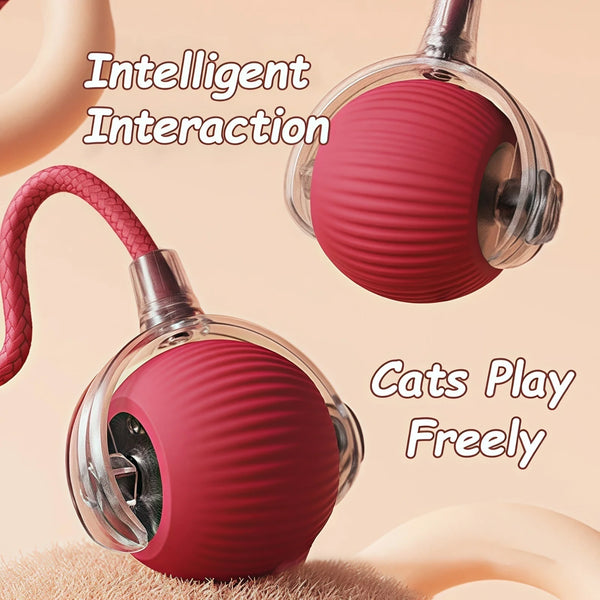 Smart Rolling Tail Ball