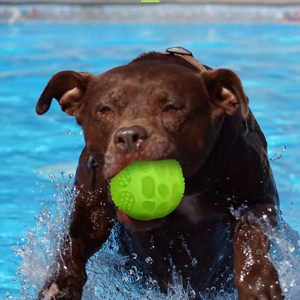 Glow Squeaky Dog Ball