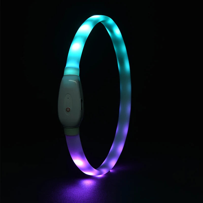 USB Rechargeable Glowing Collar