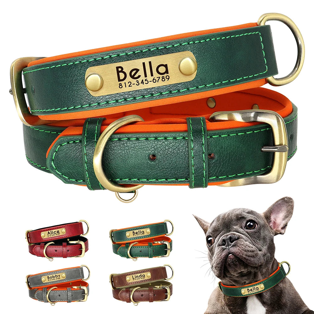 Personalized Padded Dog Collar