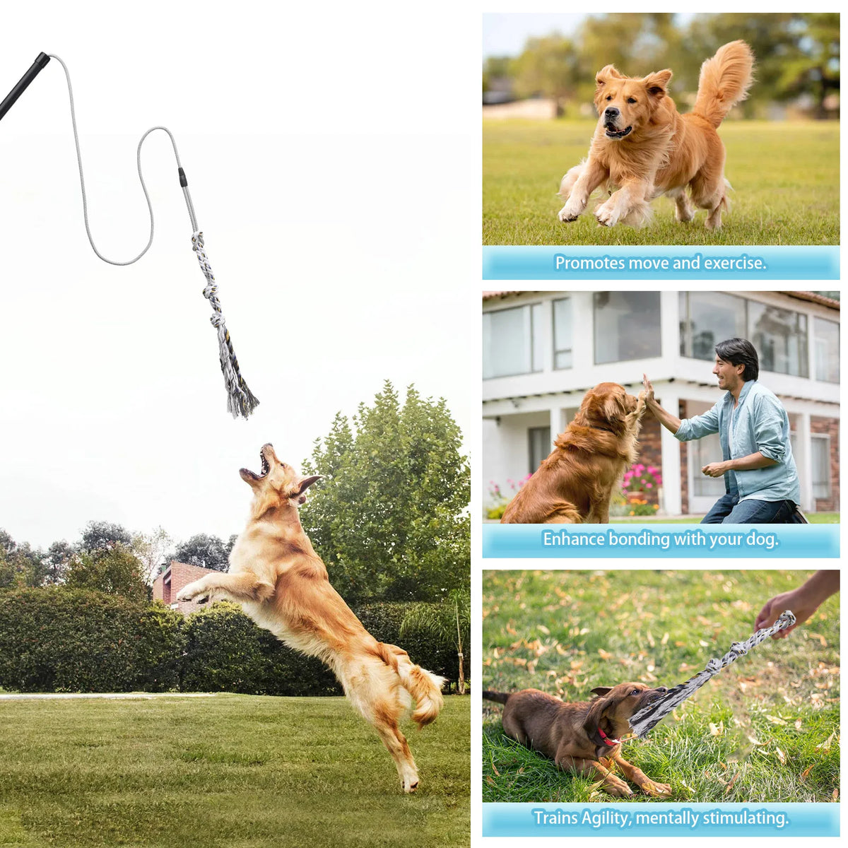 Heavy Duty Flirt Pole
