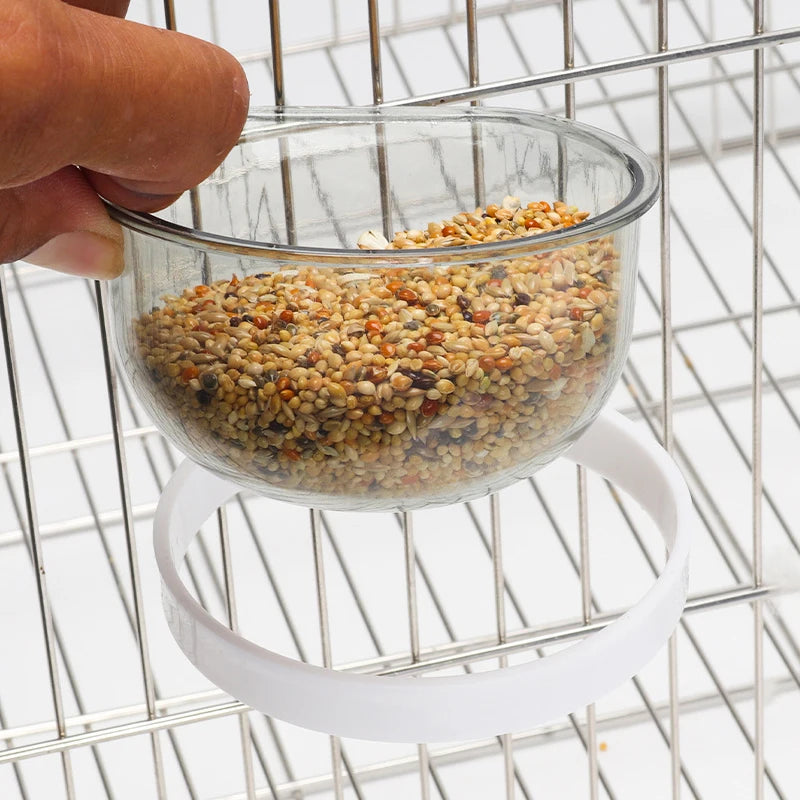 Transparent Parrot Feeding Bowl