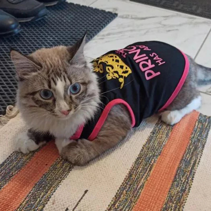 Mesh Sphynx Cat Vest