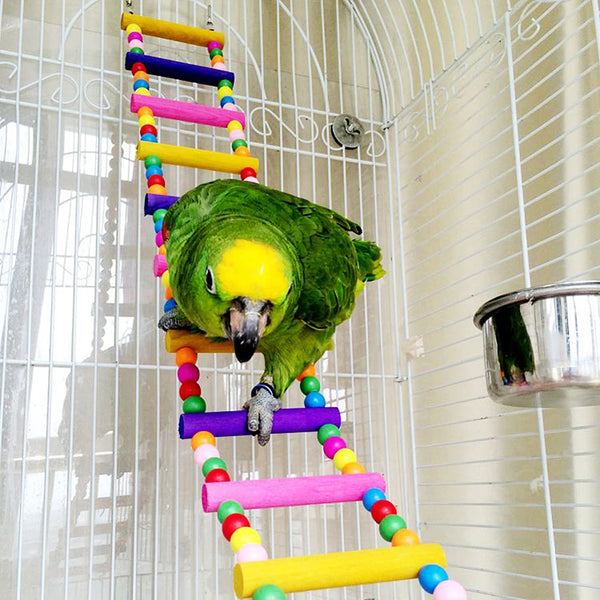 Multicolor Bird Climbing Ladder