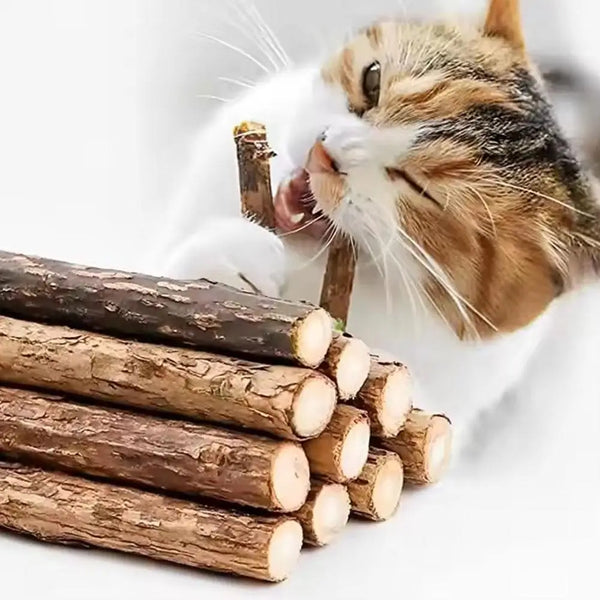 Natural Wood Catnip Sticks