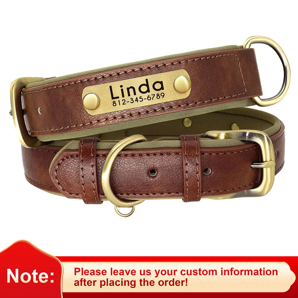 Personalized Padded Dog Collar