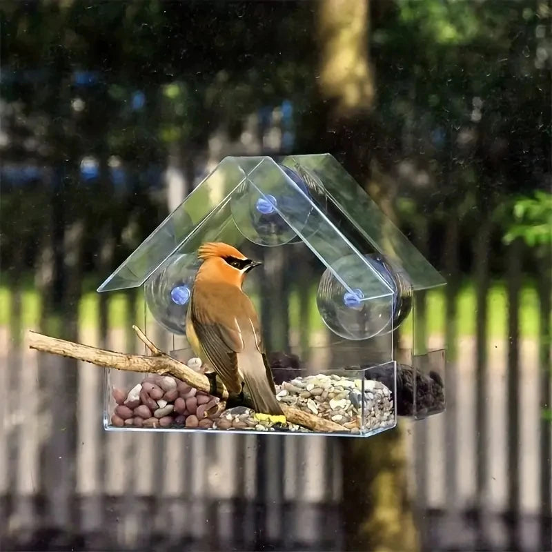 Clear Suction Bird Feeder