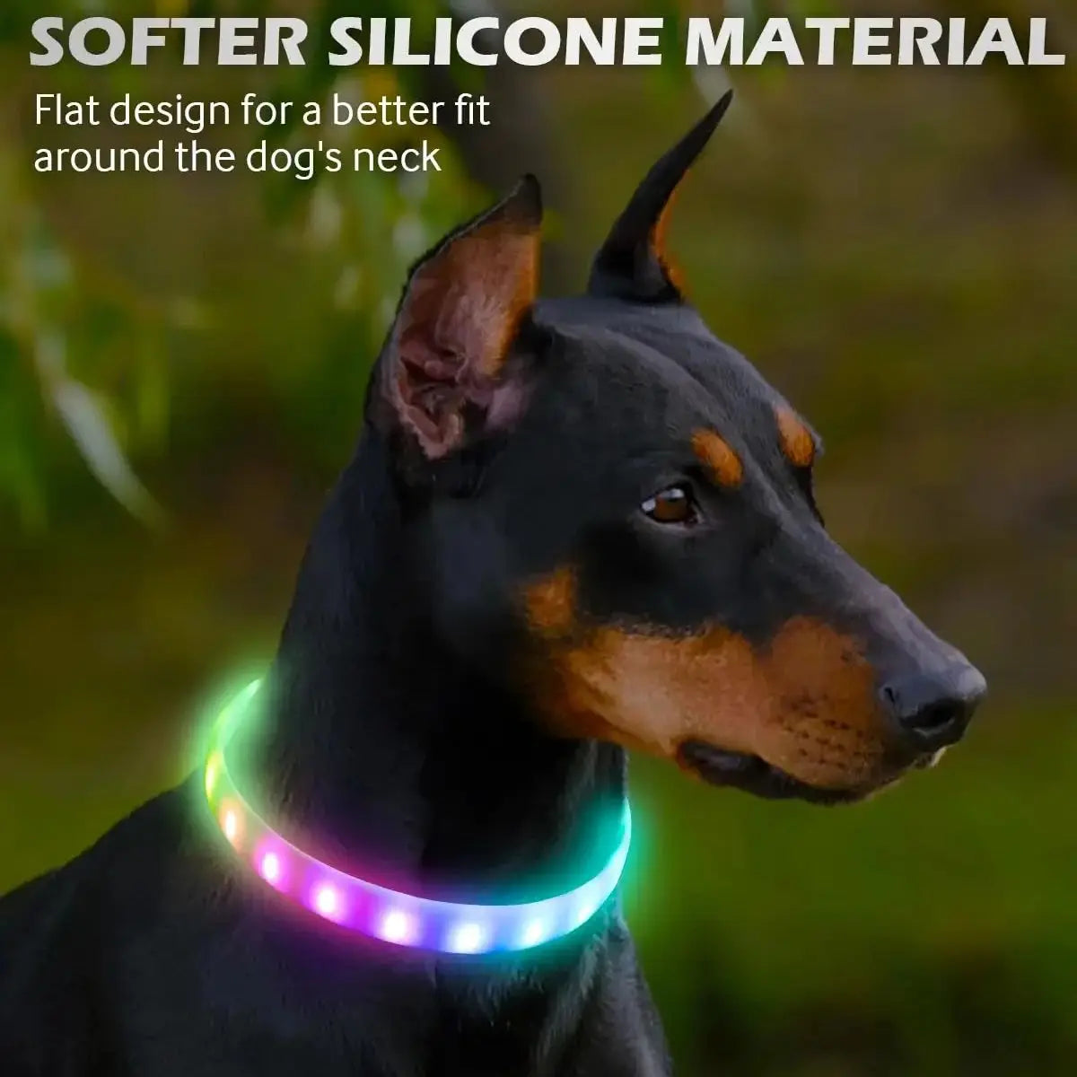 USB Rechargeable Glowing Collar