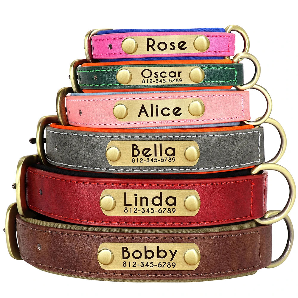 Personalized Padded Dog Collar