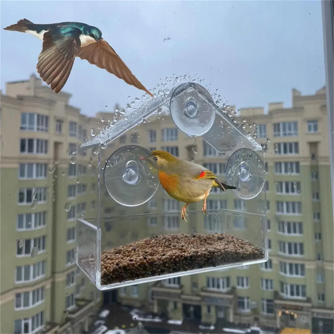 Suction Window Bird Feeder