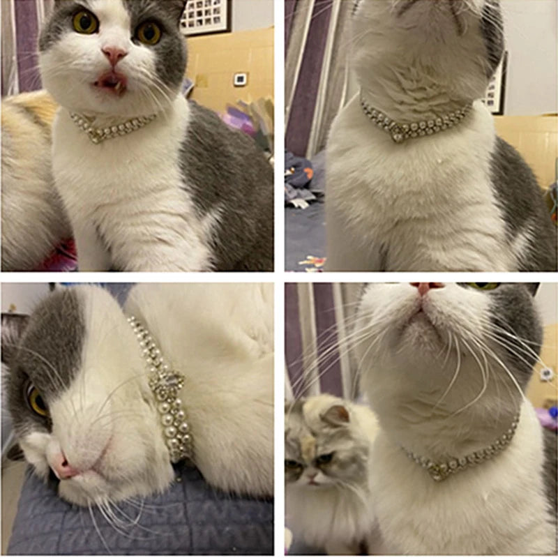 Rhinestone Pearl Pet Collar