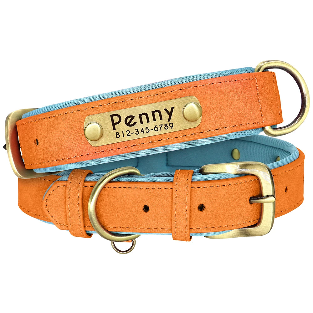 Personalized Padded Dog Collar