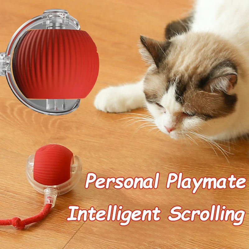 Smart Rolling Tail Ball