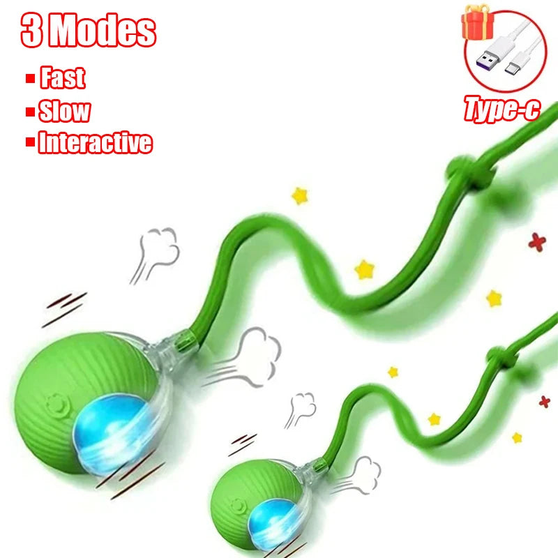 Smart Rolling Tail Ball
