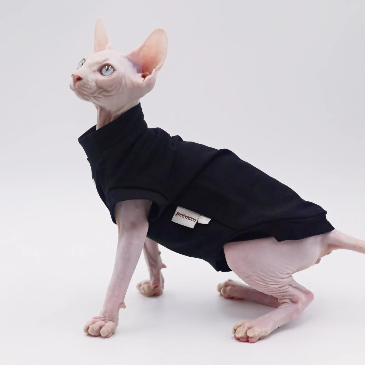 Cotton Sphynx Summer Vest