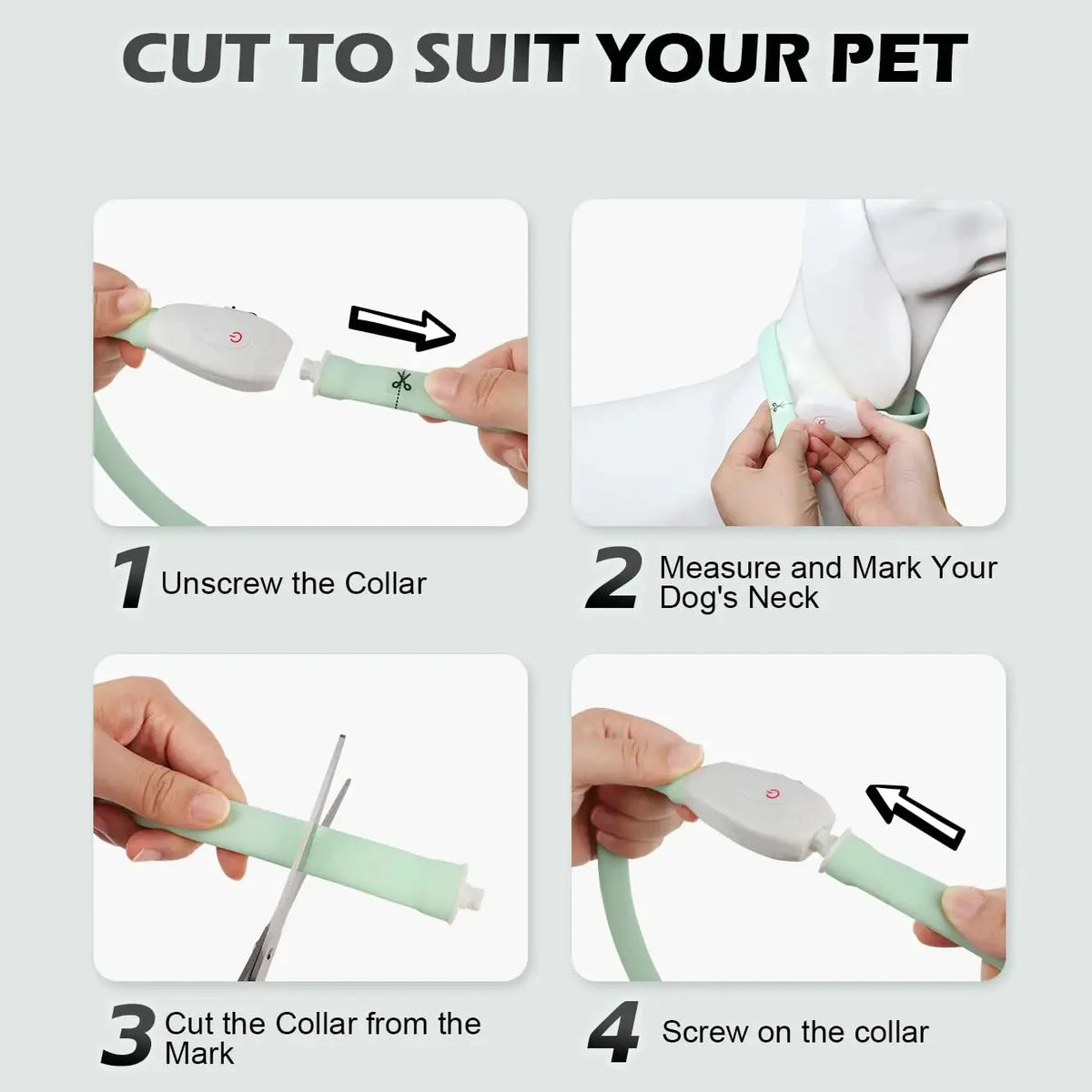 USB Rechargeable Glowing Collar