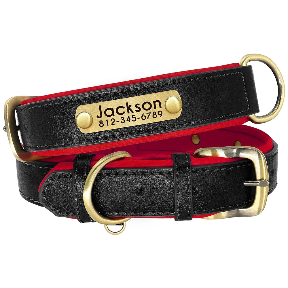 Personalized Padded Dog Collar